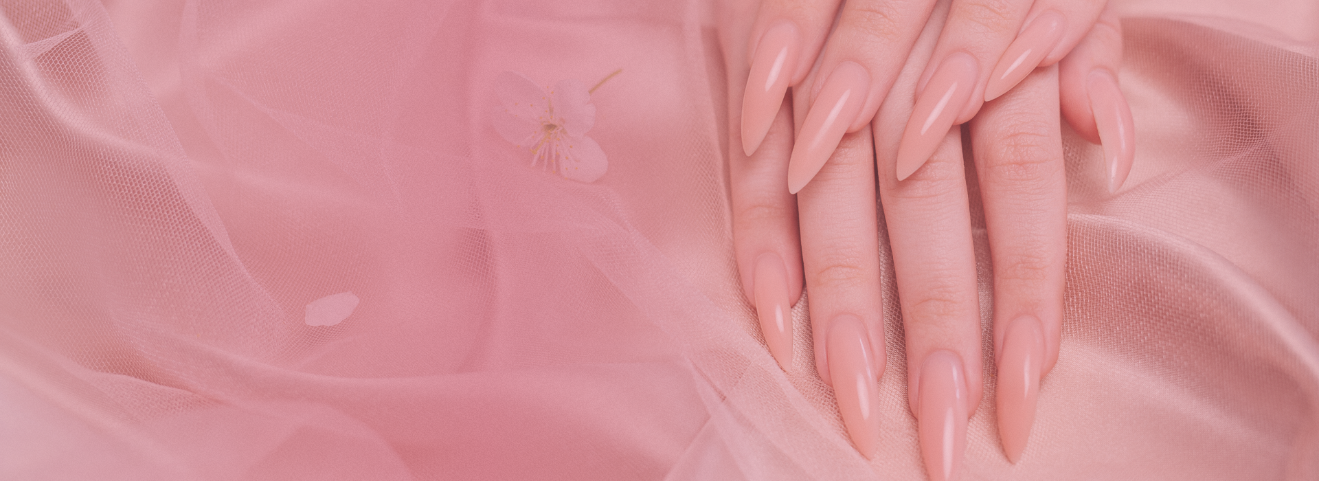 Phạm Linh Beauty 