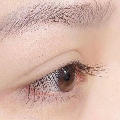 Nối mi classic lông thỏ, chồn