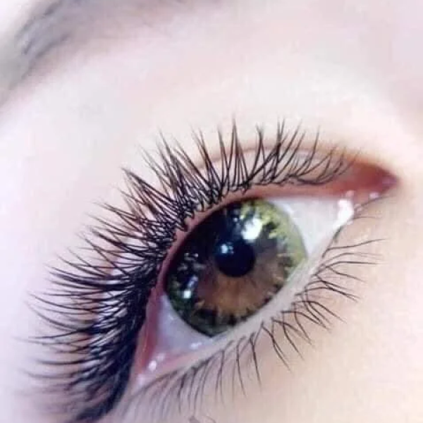 Nối mi YY